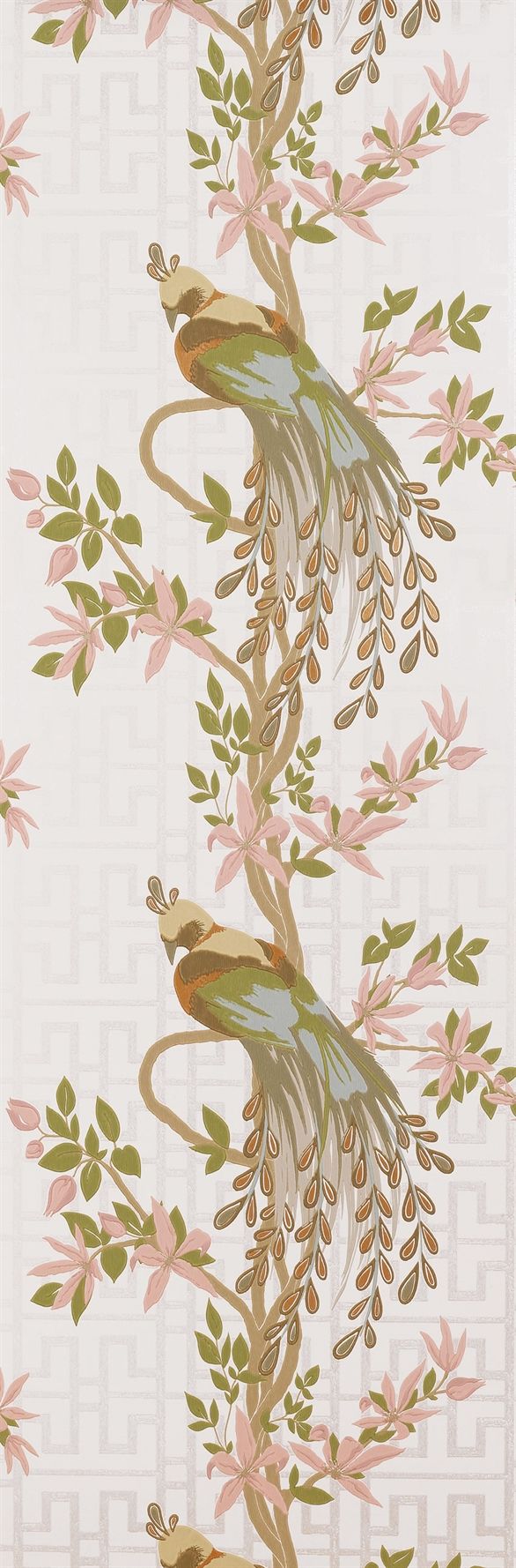 Nina Campbell Paradiso Bird Wallpaper