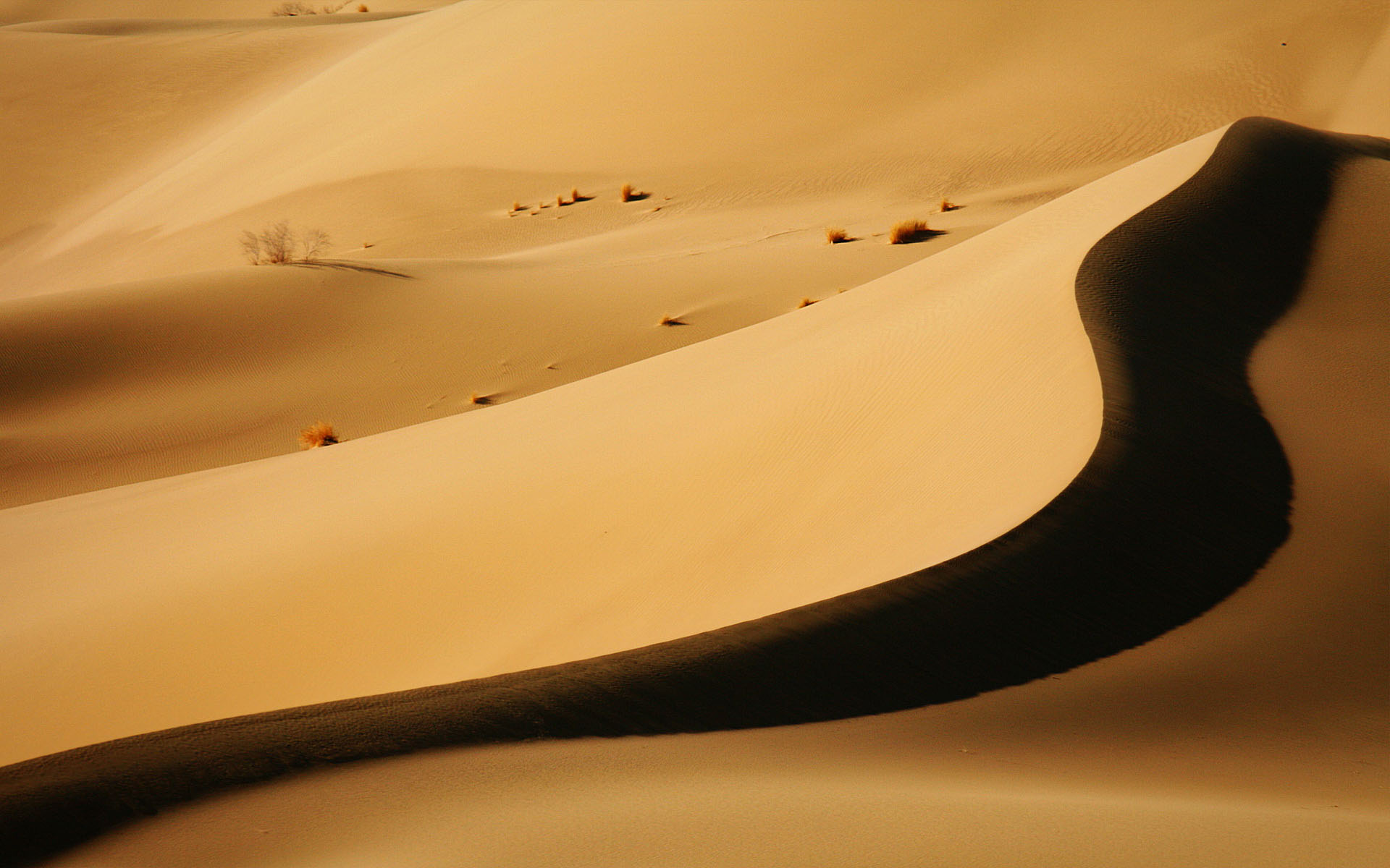 Desert Dune Wallpaper Stock Photos