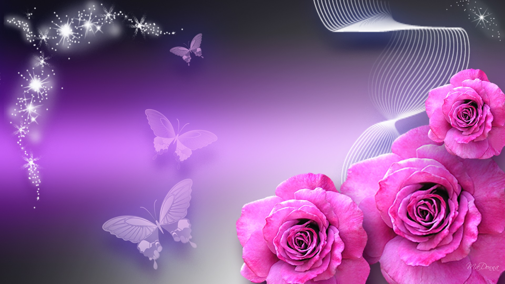 Free download butterfly wallpaper purple pink HD Desktop