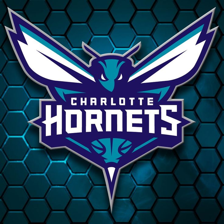 17 best ideas about Charlotte Hornets Logo