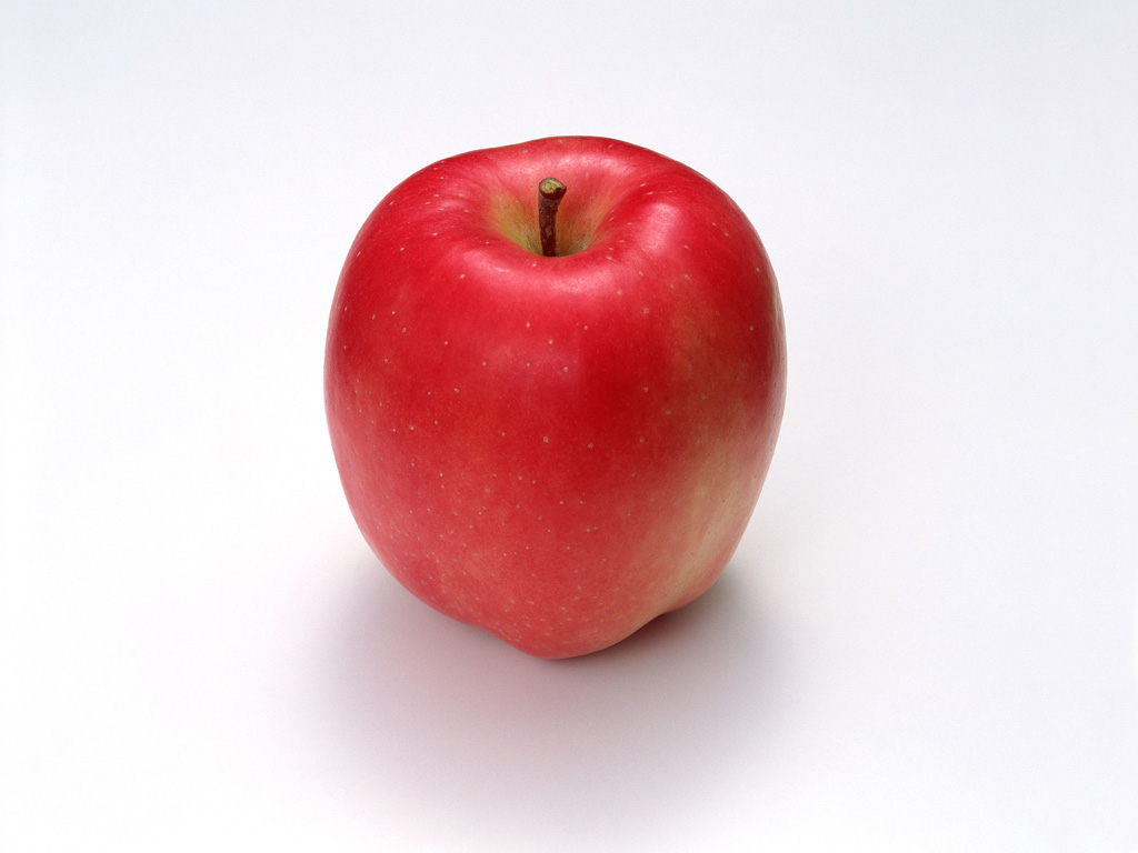 Fruit Photography Apples On Tree Fresh No