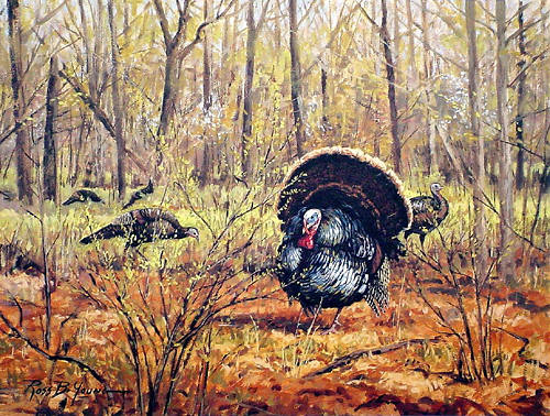Turkey Hunting Paintings Sporting Art Oil Painting