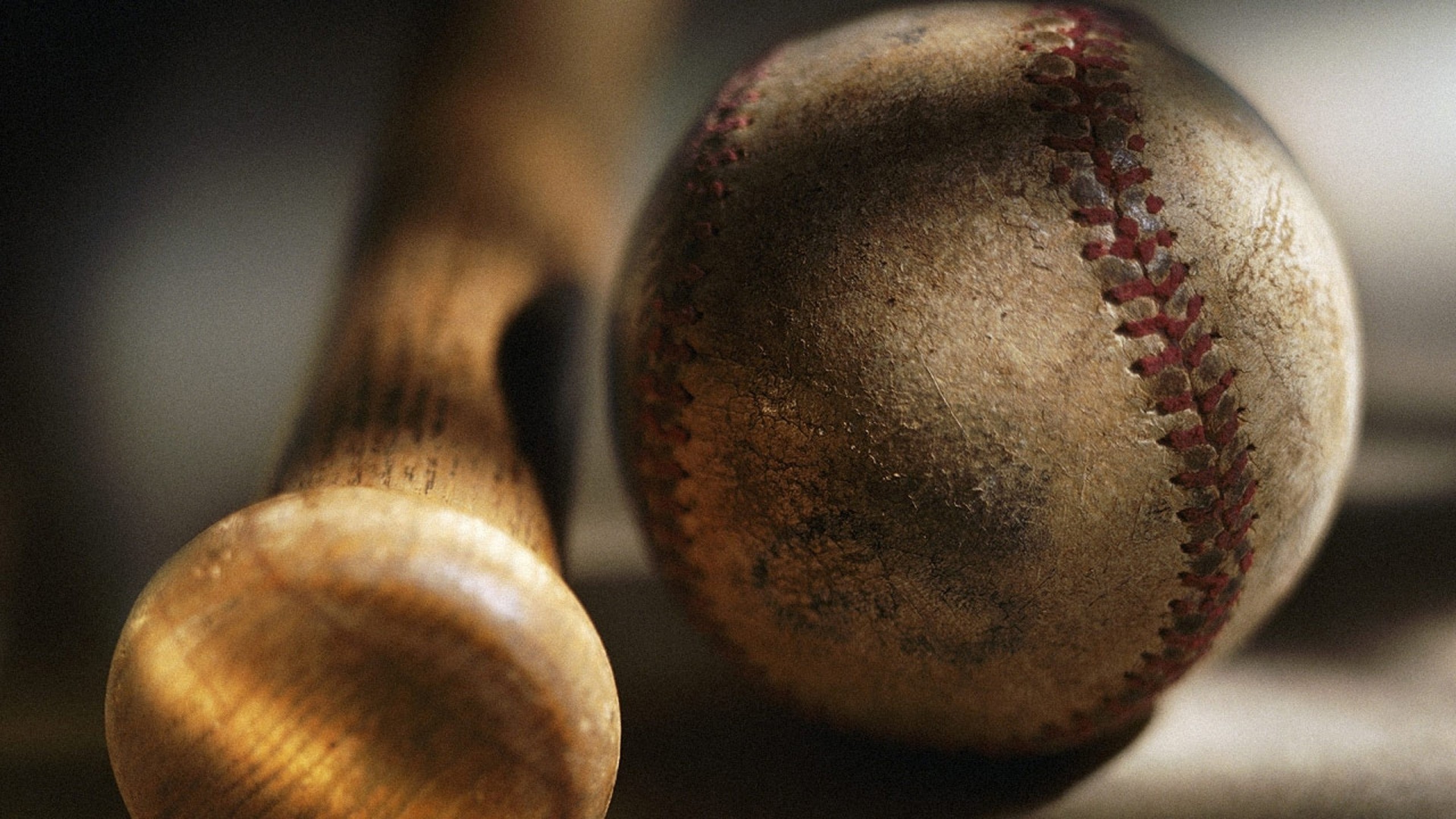 Close-up of a worn baseball and wooden bat, highlighting the texture and history of the sport