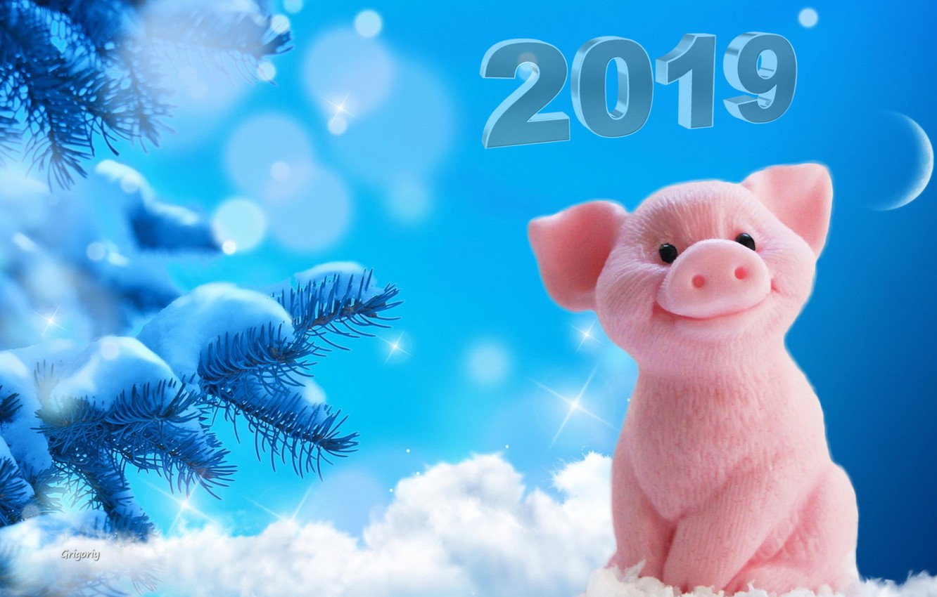 Wallpaper Snow Snowflakes The Moon New Year Tree Pigs