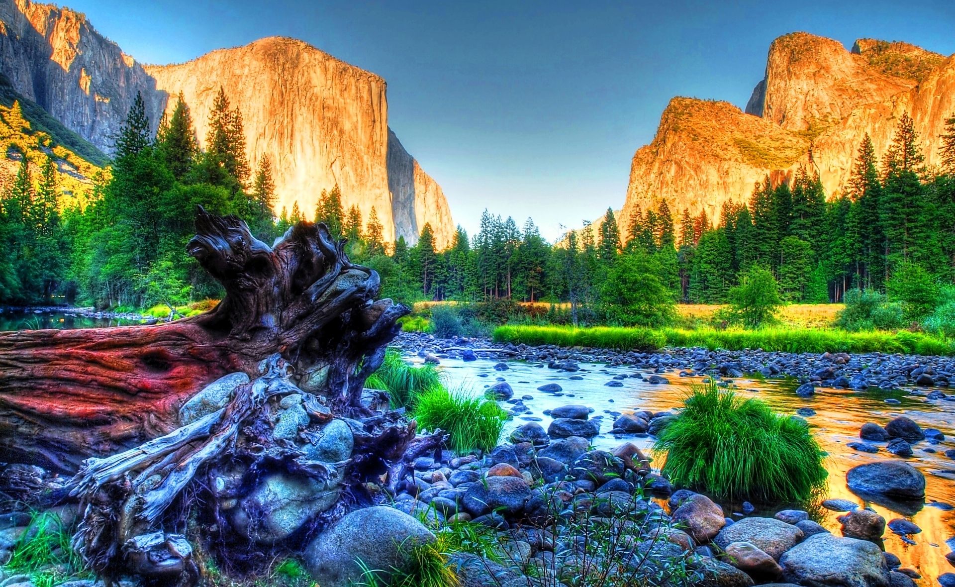 Most Beautiful Yosemite National Park