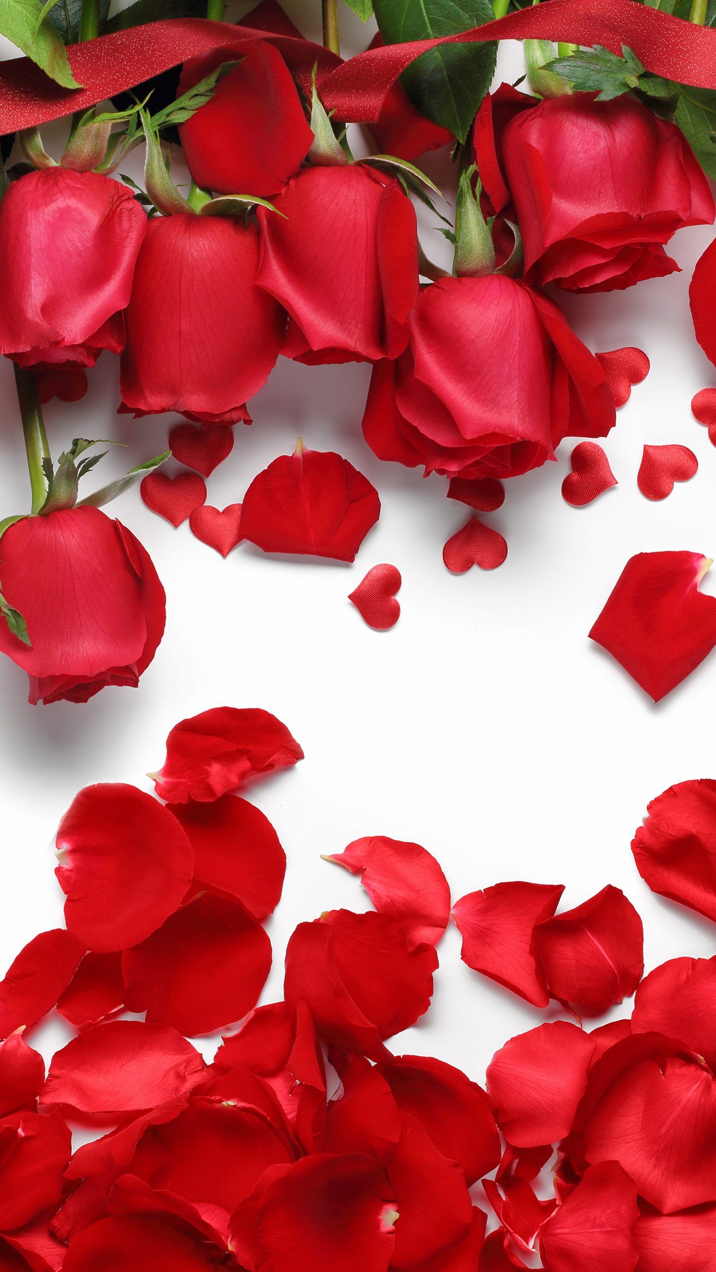Red Rose Wallpaper Geft HD Gift Bouquet Flower