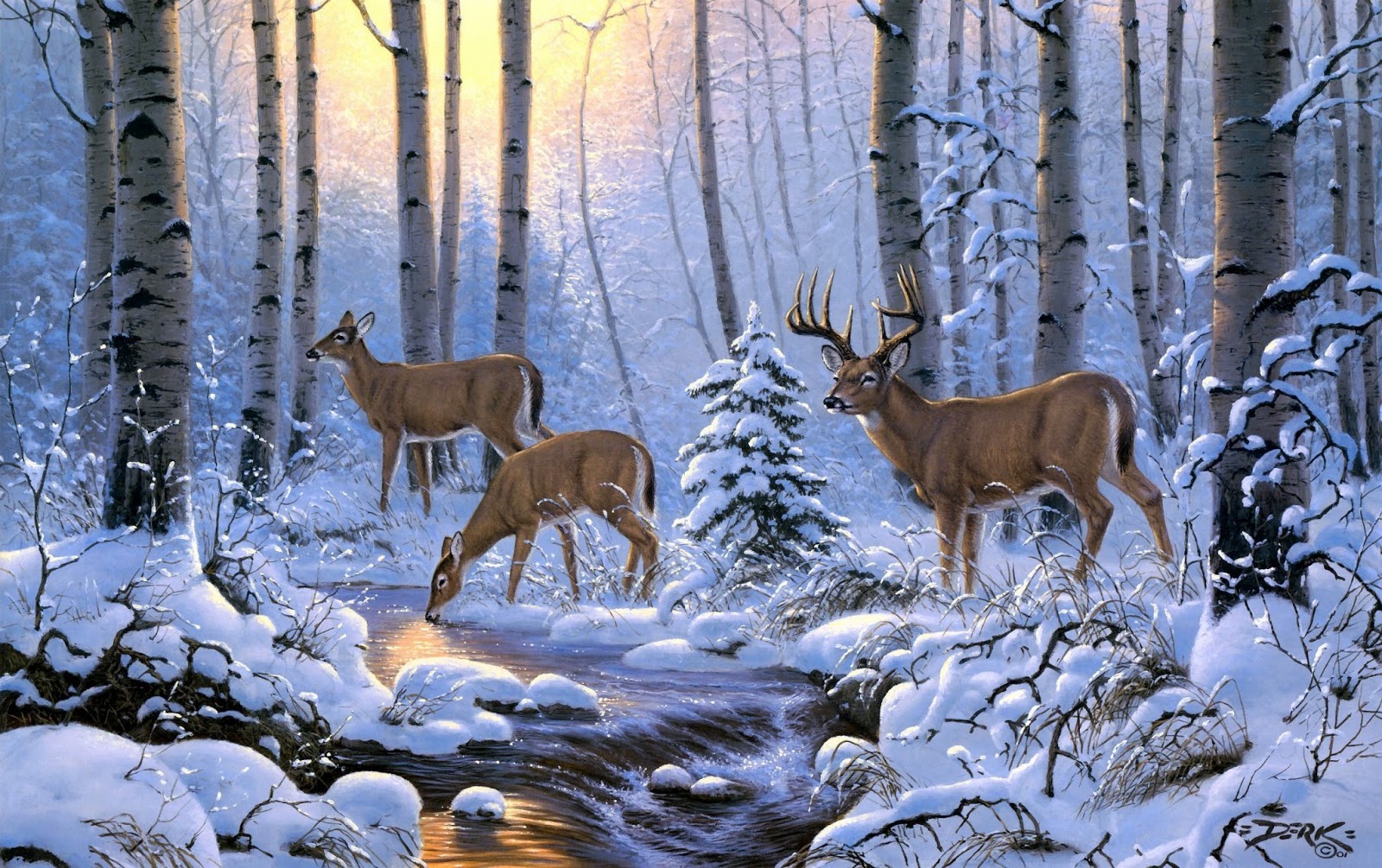 Deer Wallpaper Zone Background