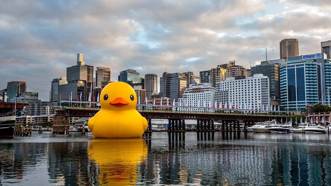Bing Images   Giant Rubber Duck   Giant rubber duck installation