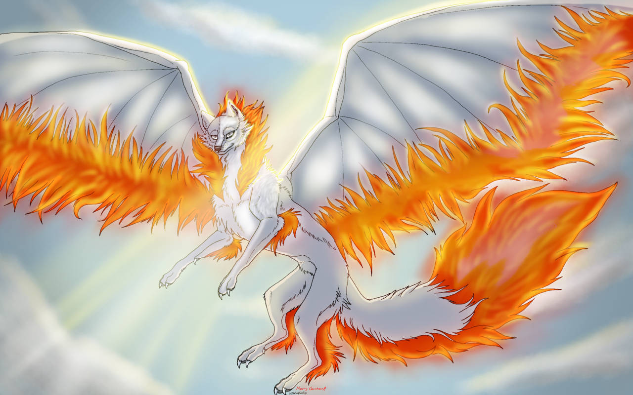 Top Fire Wings Wallpaper Full HD 4k To Use