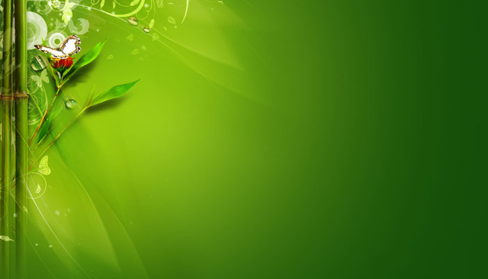 Green Morning Background