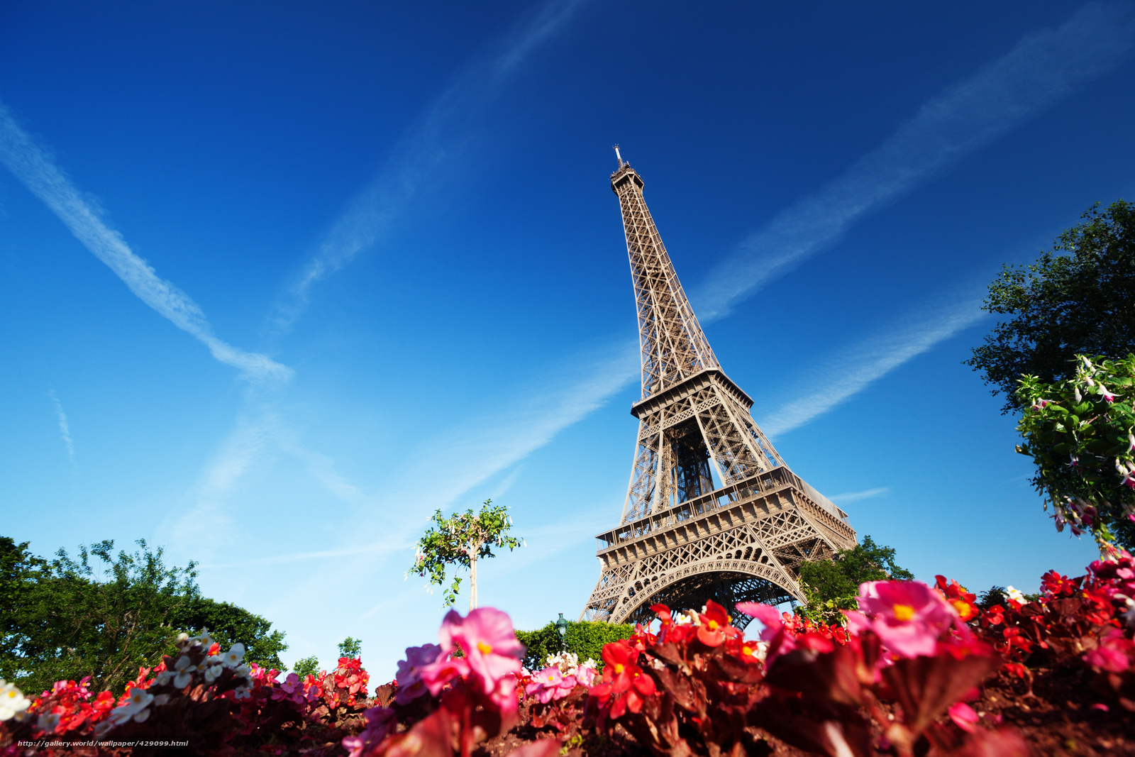 Hintergrund Paris Frankreich Eiffelturm Blumen Freie
