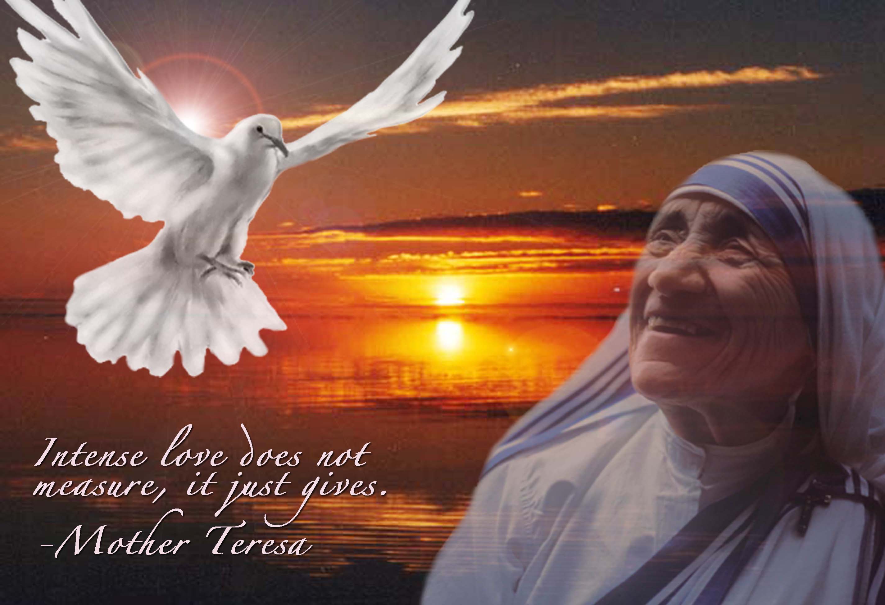 File Name Mother Teresa Wallpaper Jpg Resolution