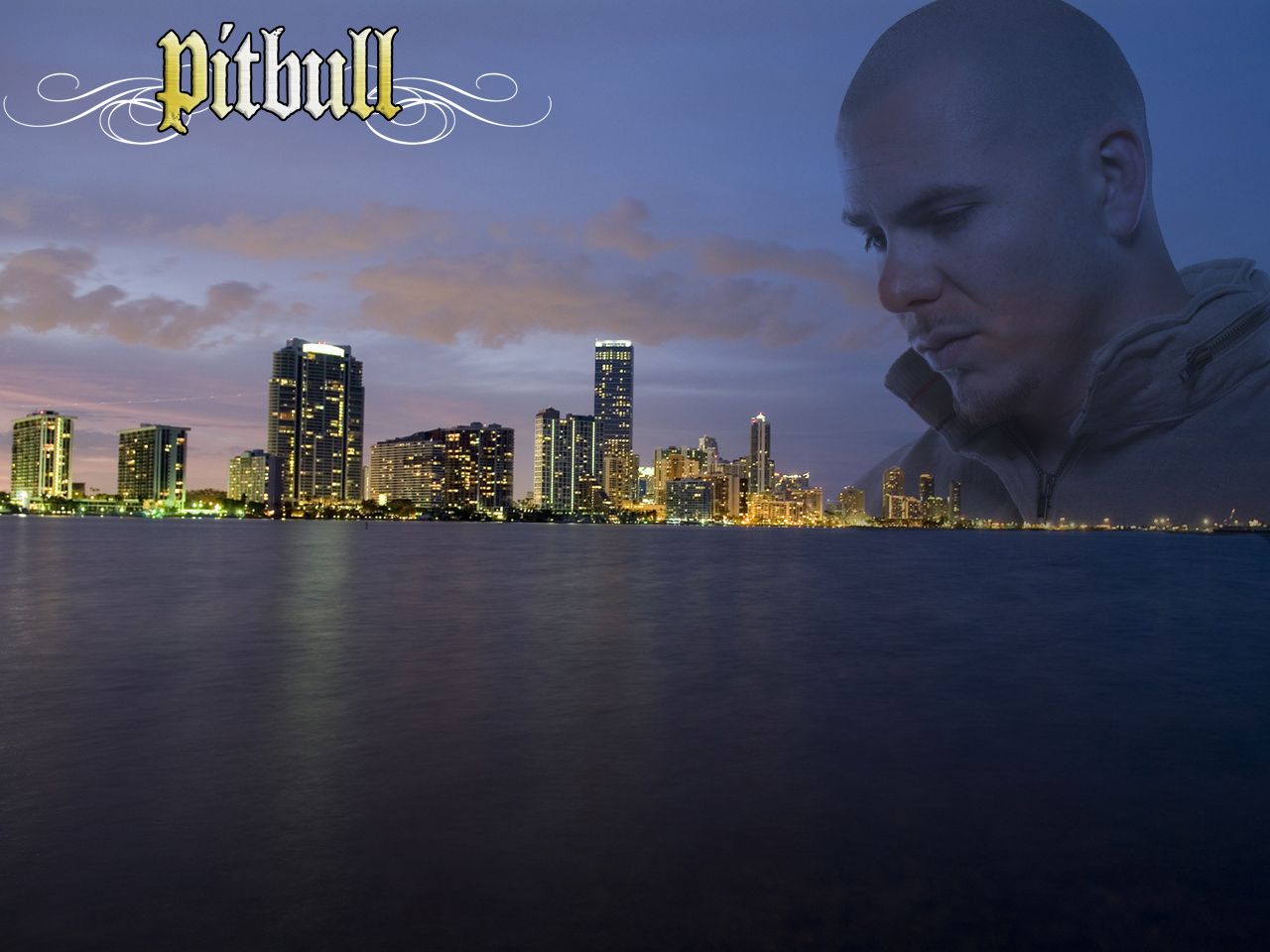 Pitbull Rapper Wallpapers