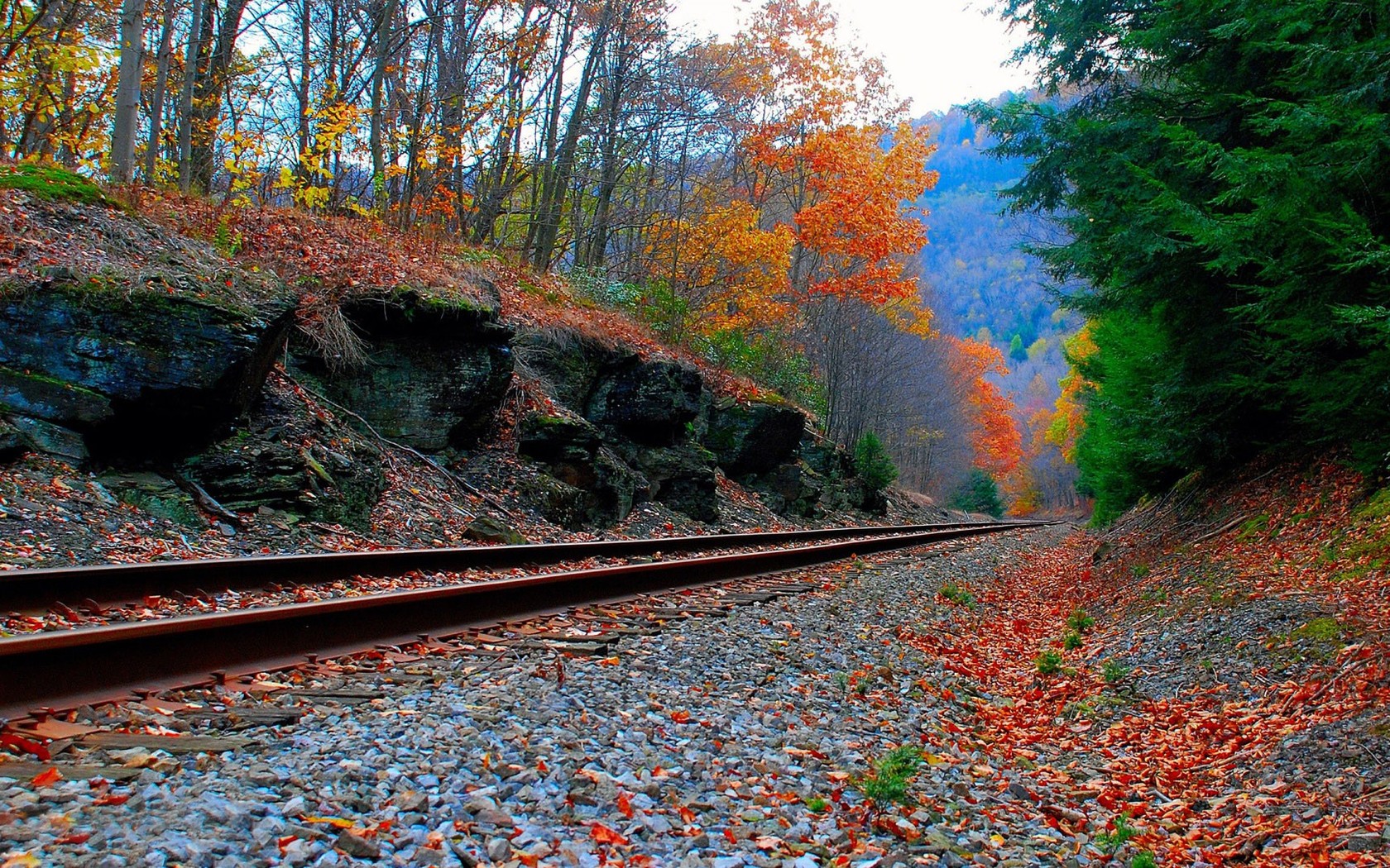 Railroad In Autumn Wallpaper