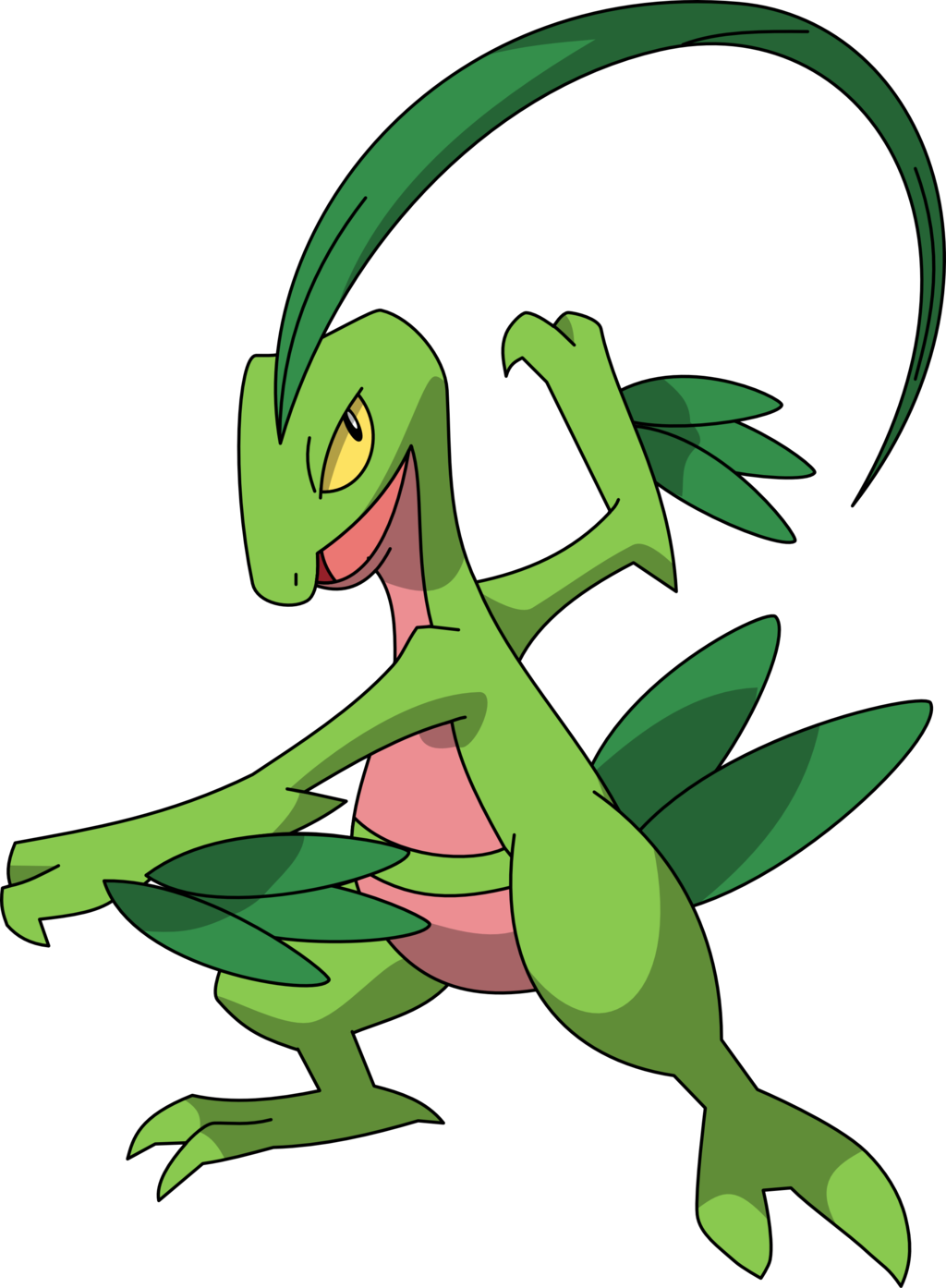 Grovyle Photos Full HD Pictures