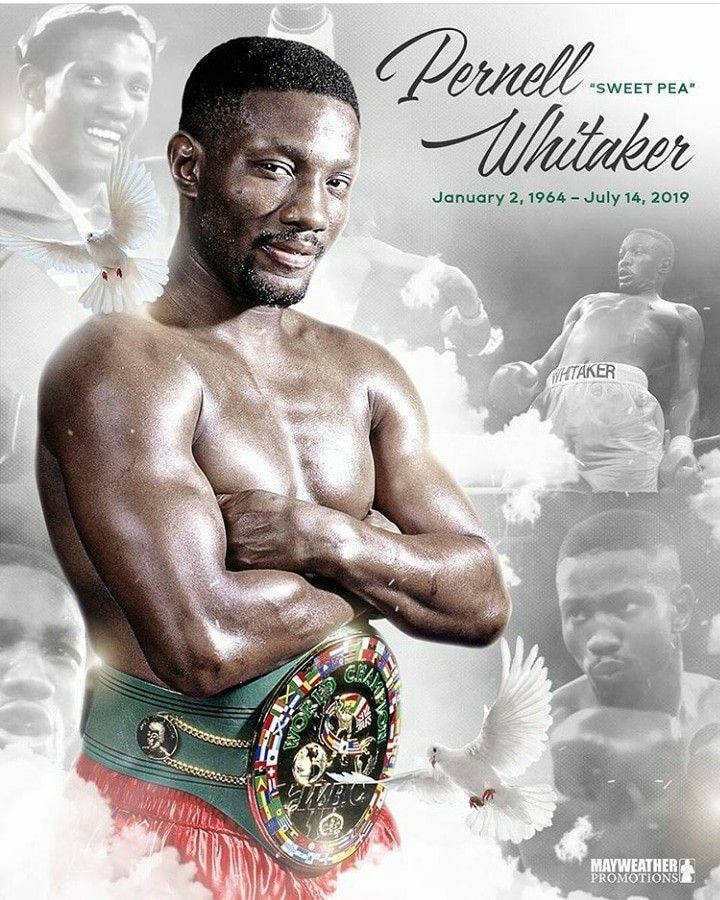 Pernell Whitaker Wallpaper