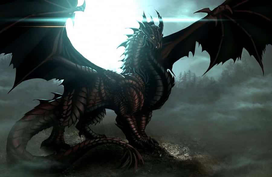 Beautiful Dragon Wallpaper S