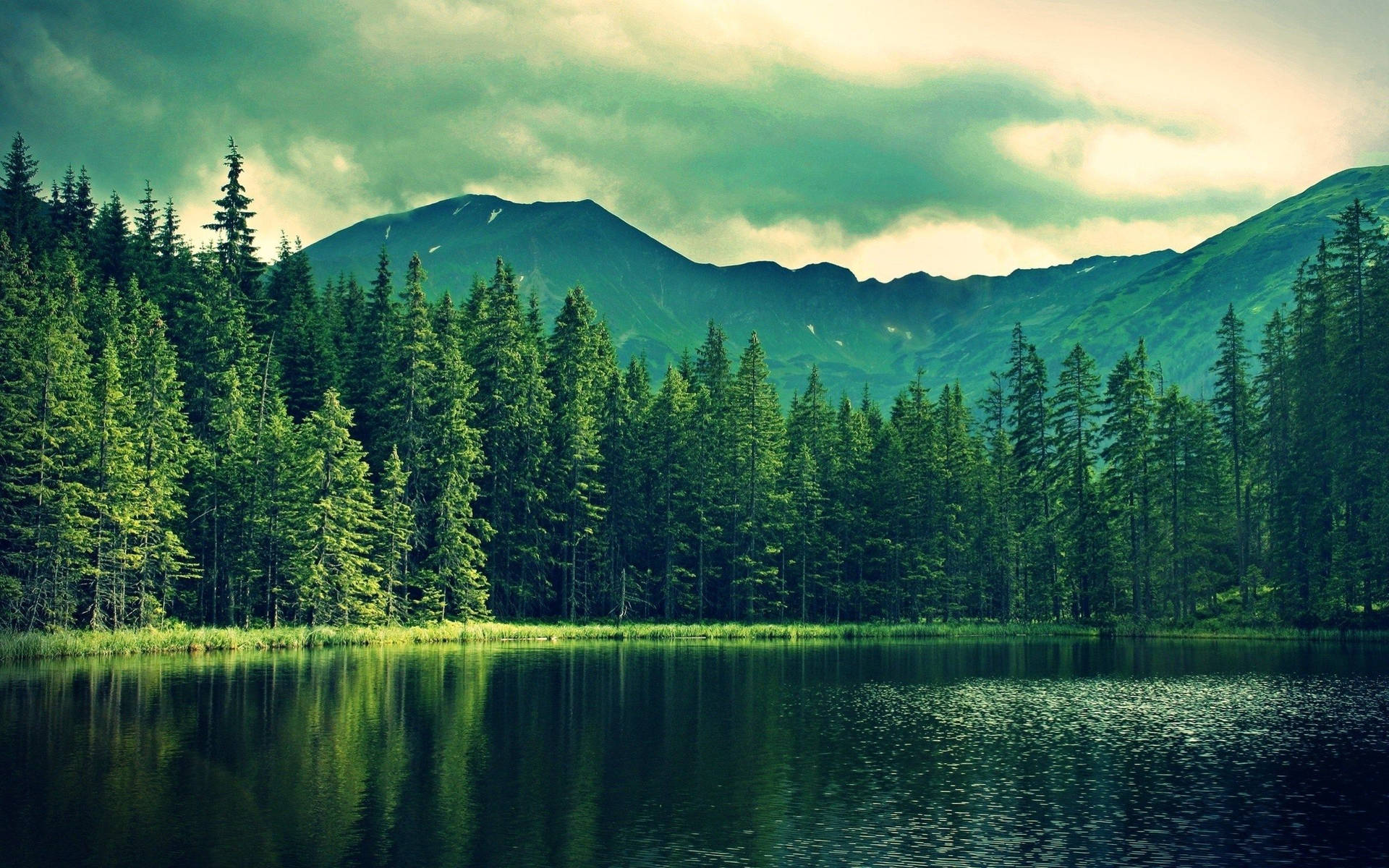 Outdoor 119arfo9rikosnsz Wallpaper