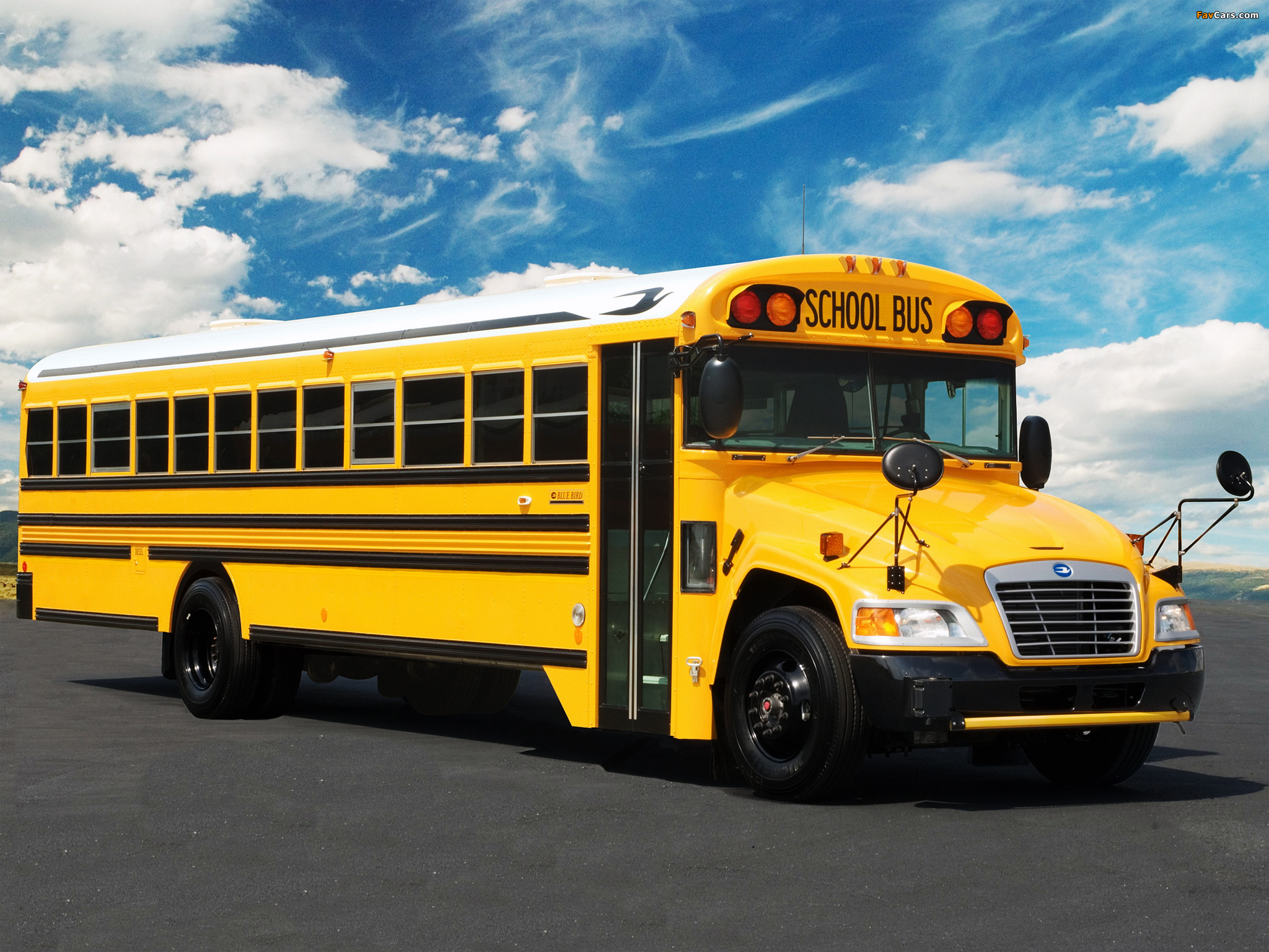 Image Of Blue Bird Vision School Bus