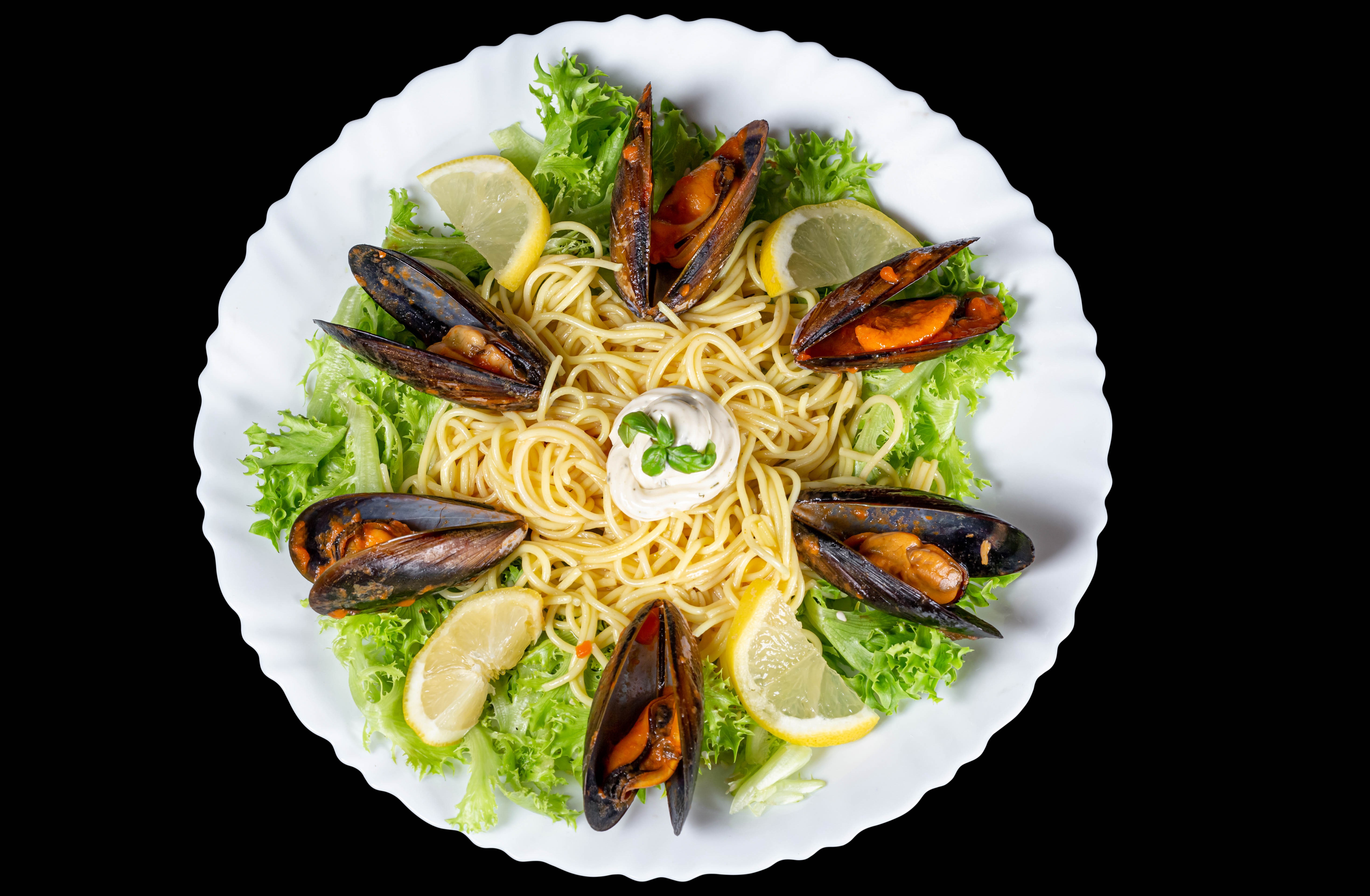 Mussels HD Wallpaper