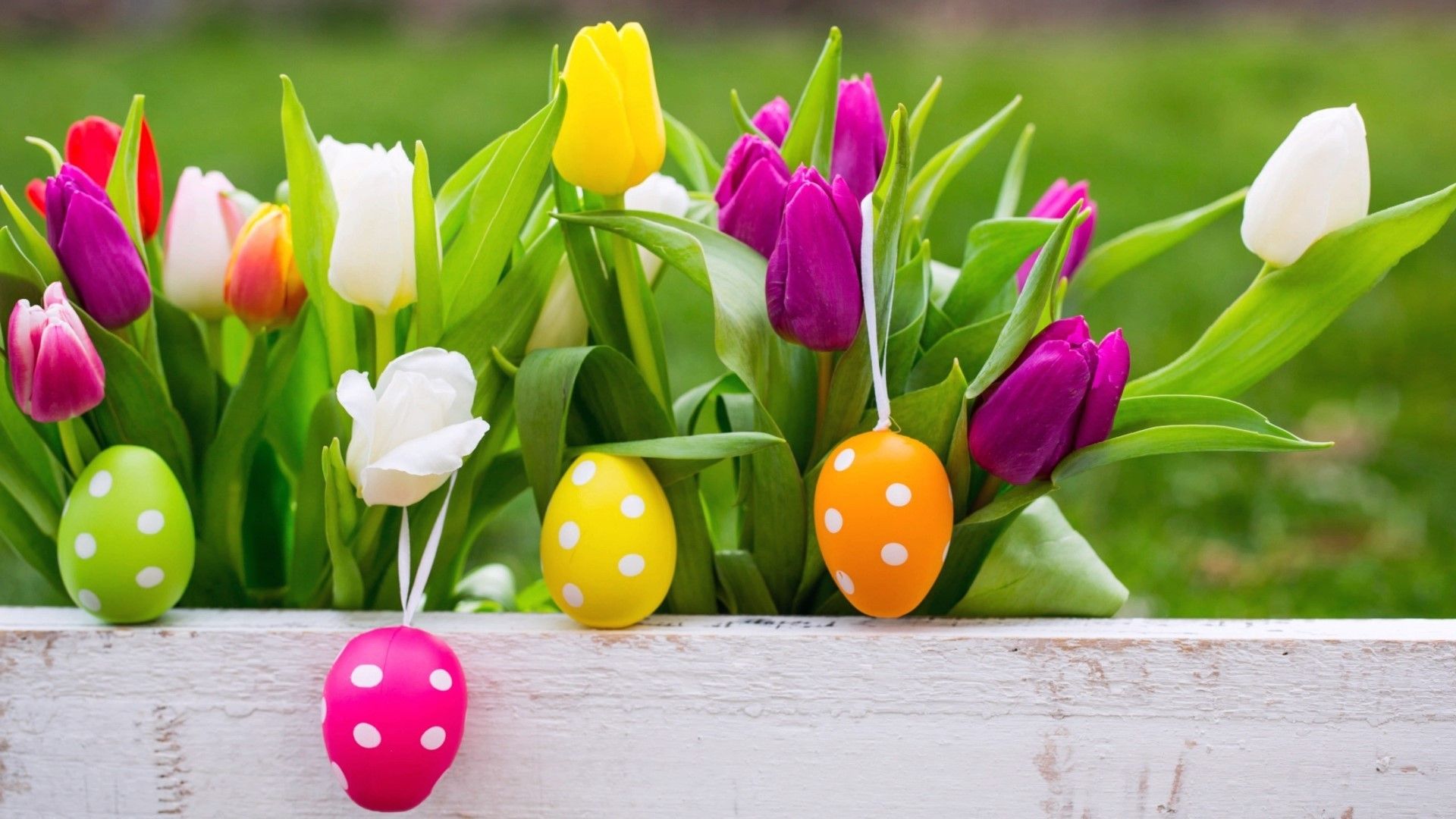 Easter Eggs With Beautiful Background Pic Wallpaper