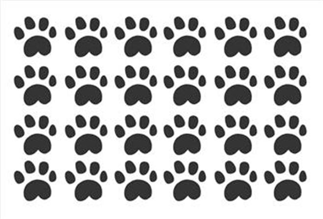 Related Pictures Dog Paw Wallpaper