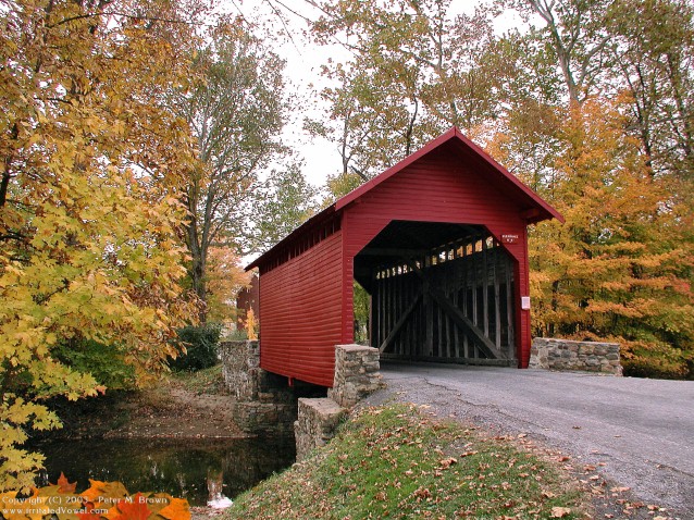 Roddy Road Covered Bridge in Autumn   Pete Browns 10remnet 638x478