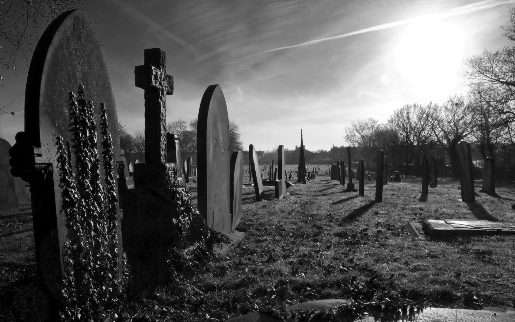 Spooky Graveyard Wallpaper Image Amp Pictures Becuo