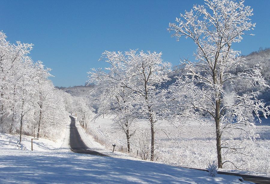 Form Below To Delete This Winter Wonderland Photograph West Virginia