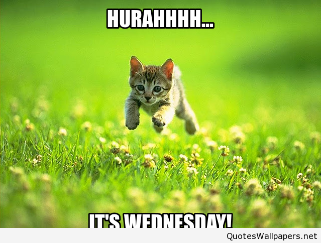 Happy Wednesday Images Funny