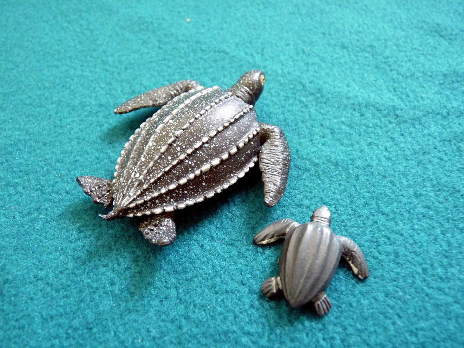 Baby Sea Turtle Desktop Chillcover