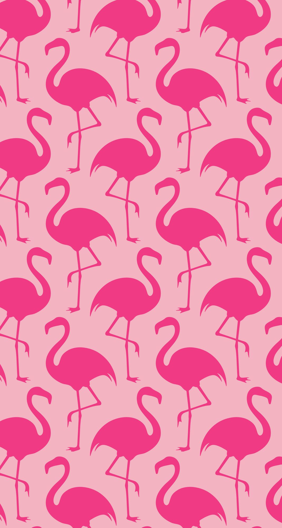 glitter flamingo wallpaper