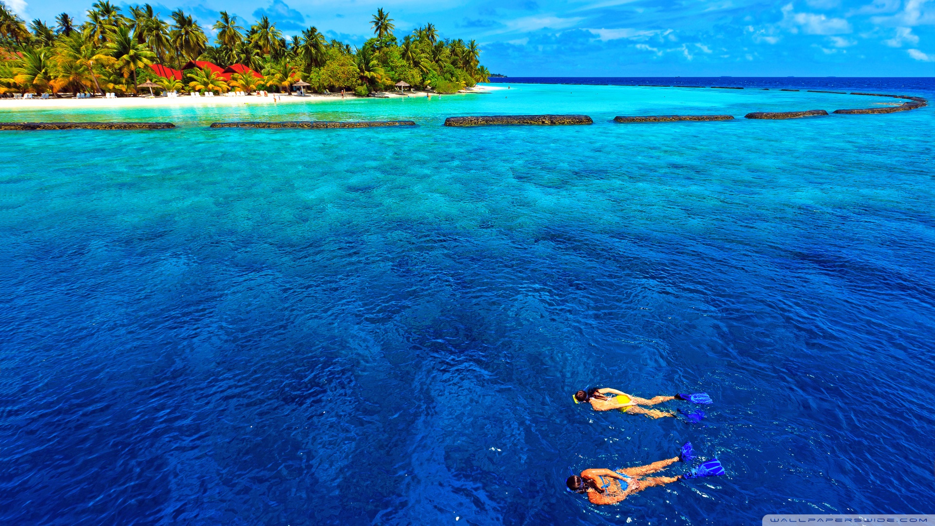 Snorkeling Vacation Wallpaper MixHD