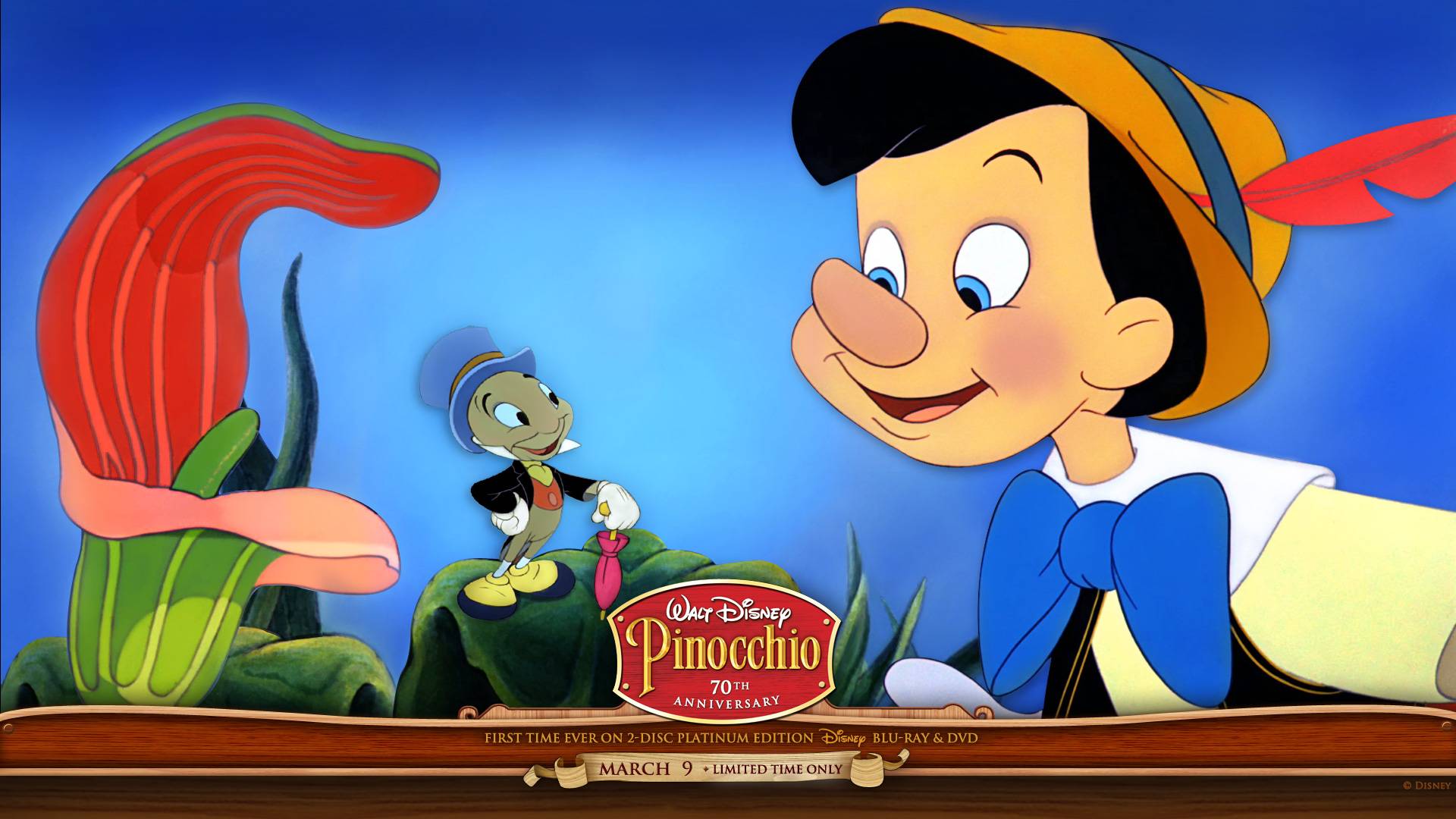 Pinocchio Wallpaper Cartoon Photography