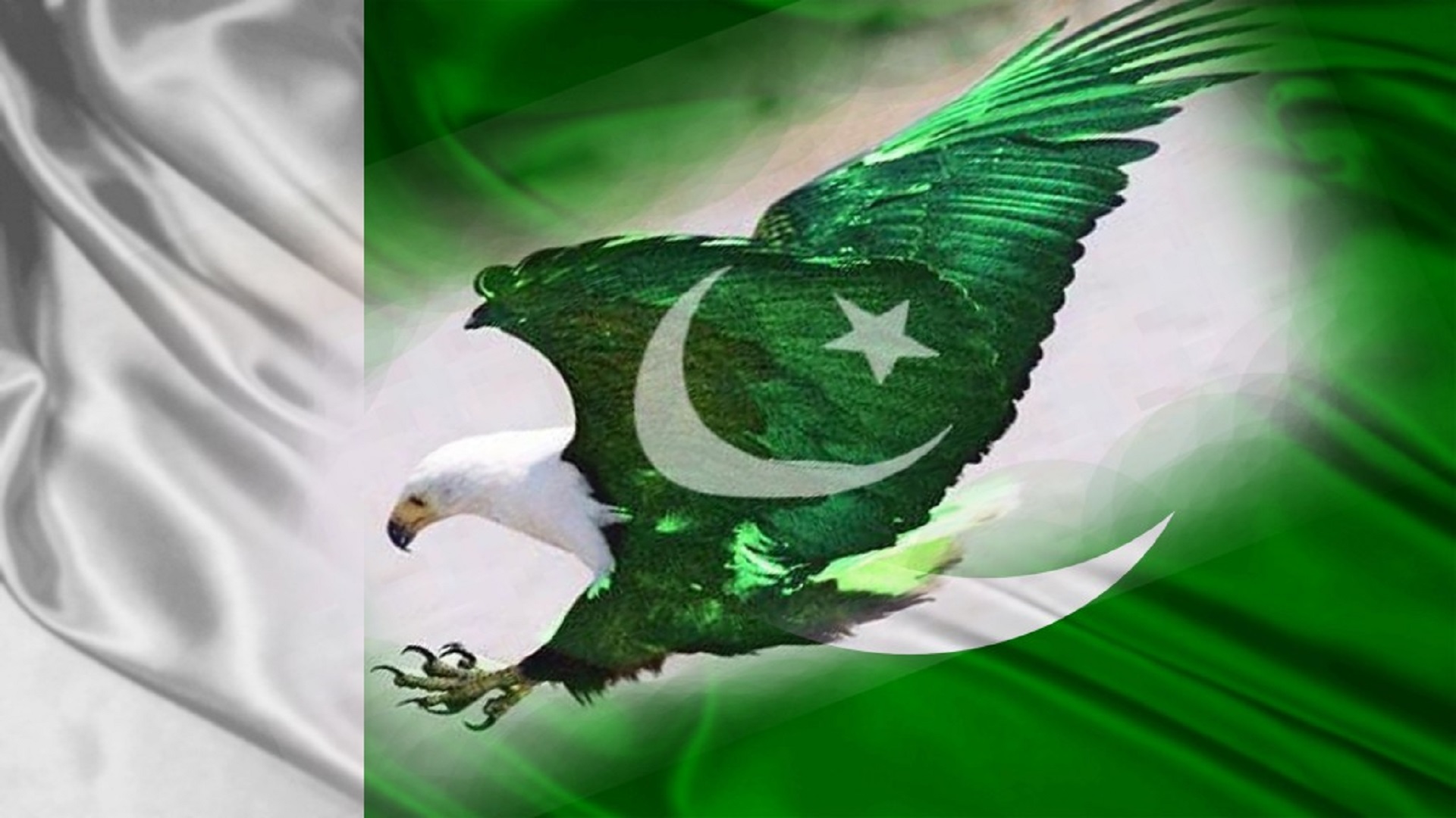 Eagle Pakistani Flag Wallpaper HD