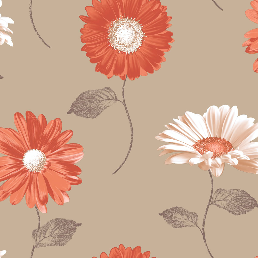 Daisy Wallpaper Champagne And Orange This Contemporary