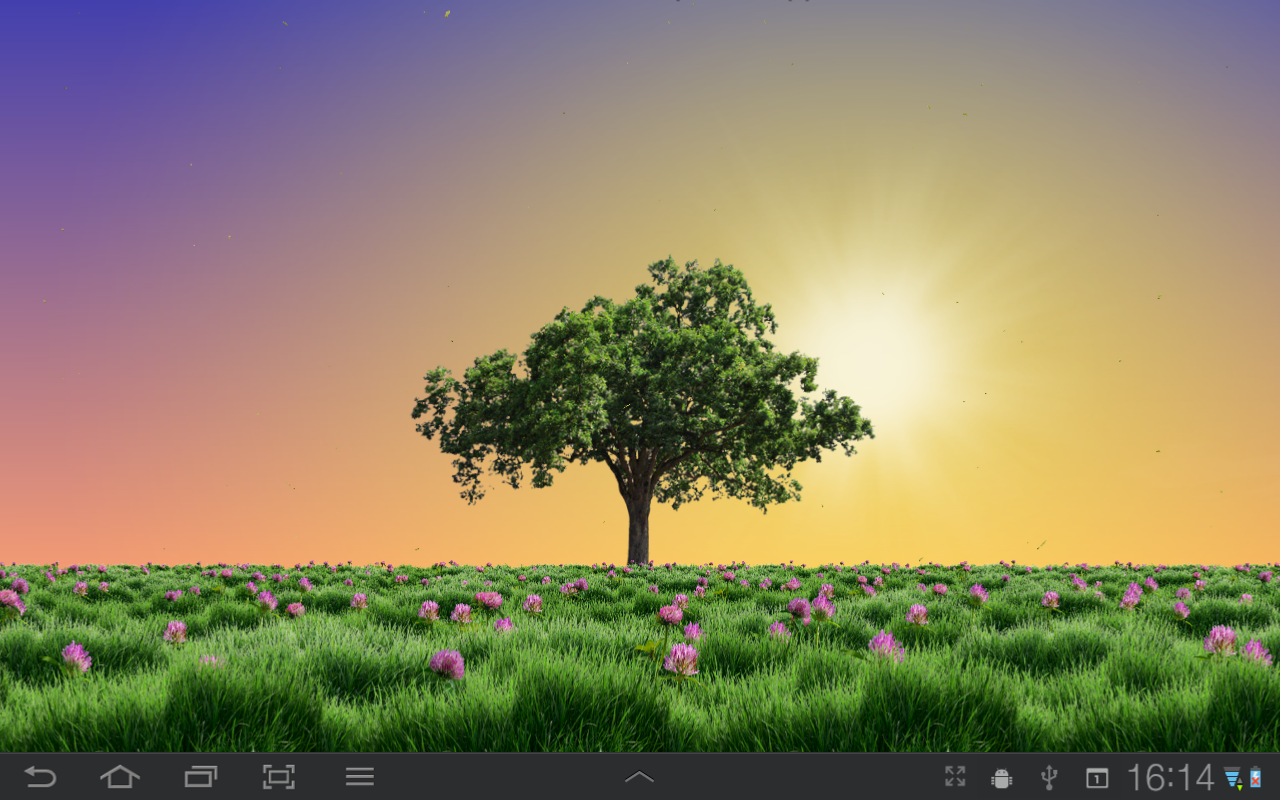 Summer Trees Android Apps On Google Play