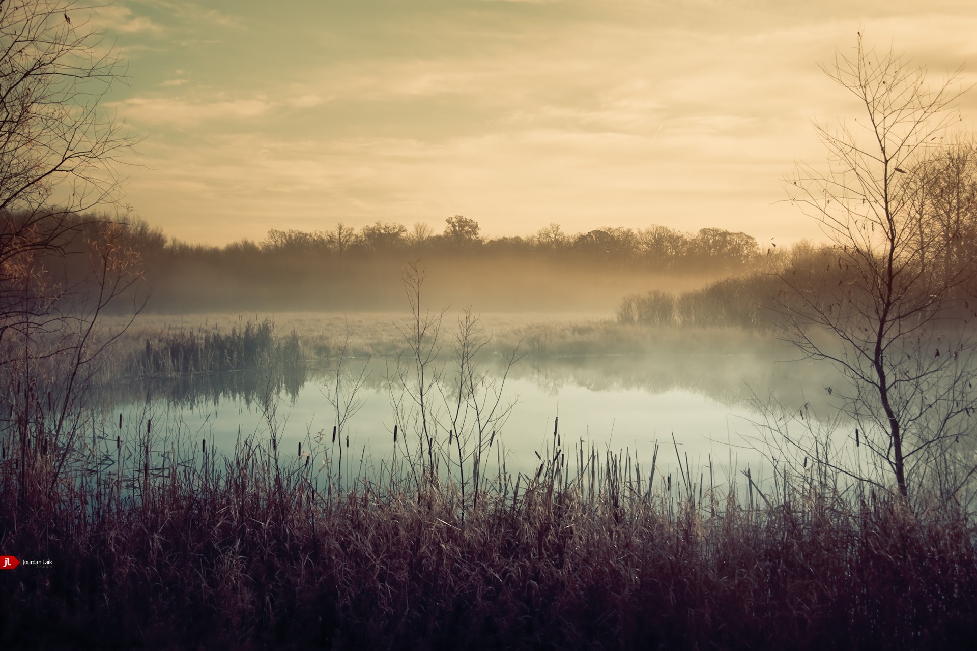 Landscapes Fog Wallpaper Mist Pond
