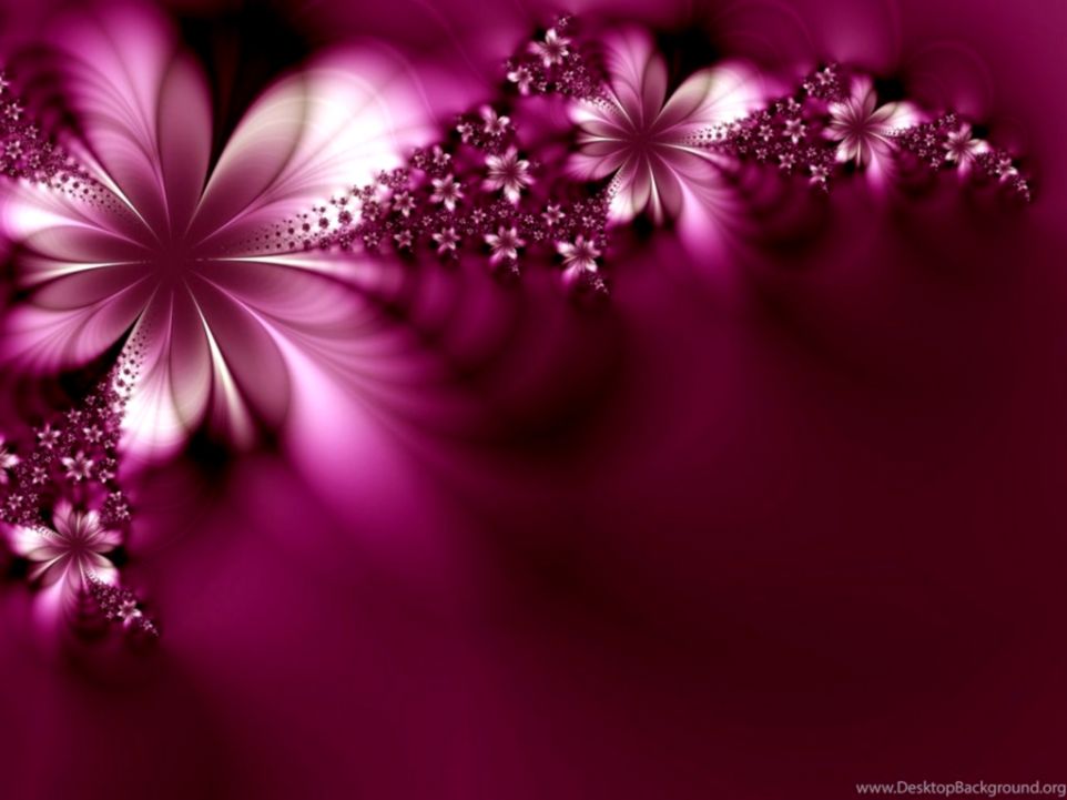 Top Beautiful Flower Wallpaper For Desktop Full HD Superb