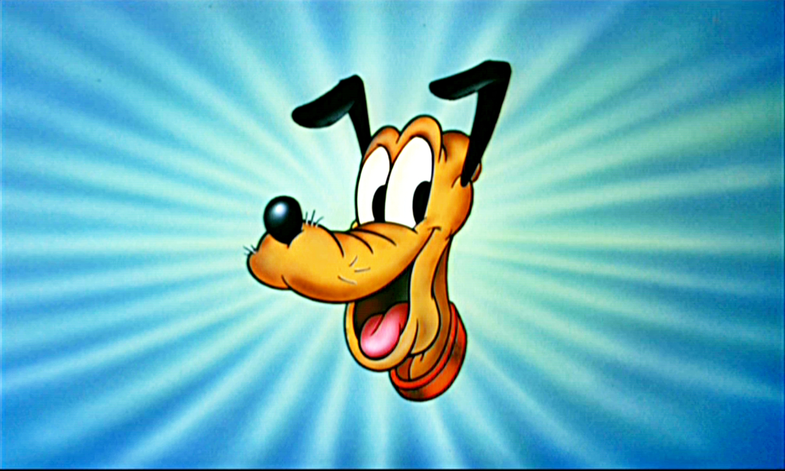 Pluto Wallpaper Mickey And Friends Photo