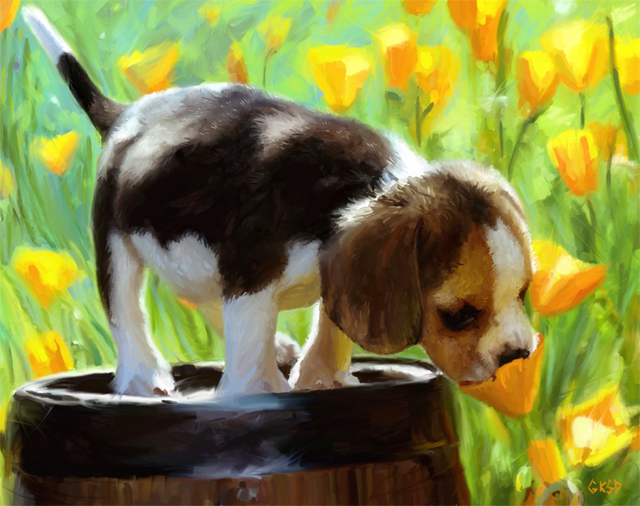 Spring Puppy Background By Gabriellekelly