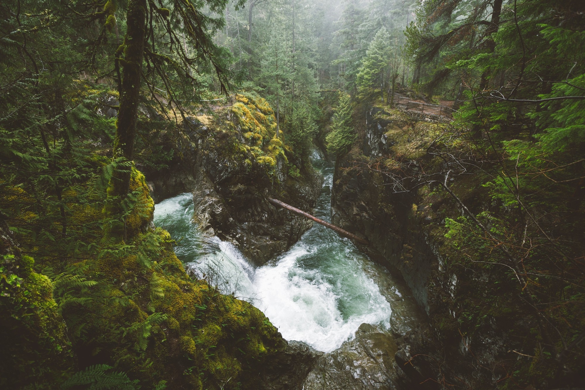 Nature Landscape Forest River Waterfall Mist Vancouver