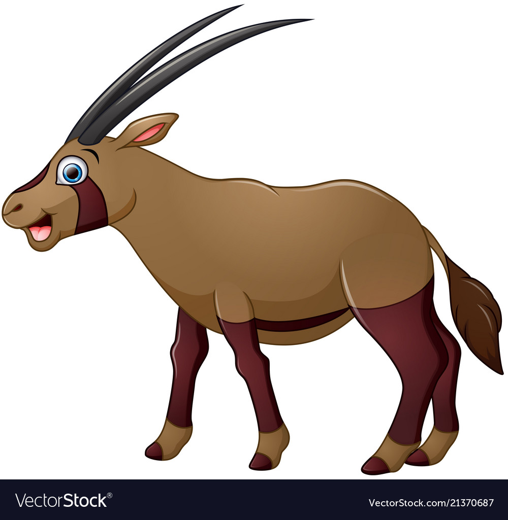 Happy Oryx Cartoon Isolated On White Background Vector Image