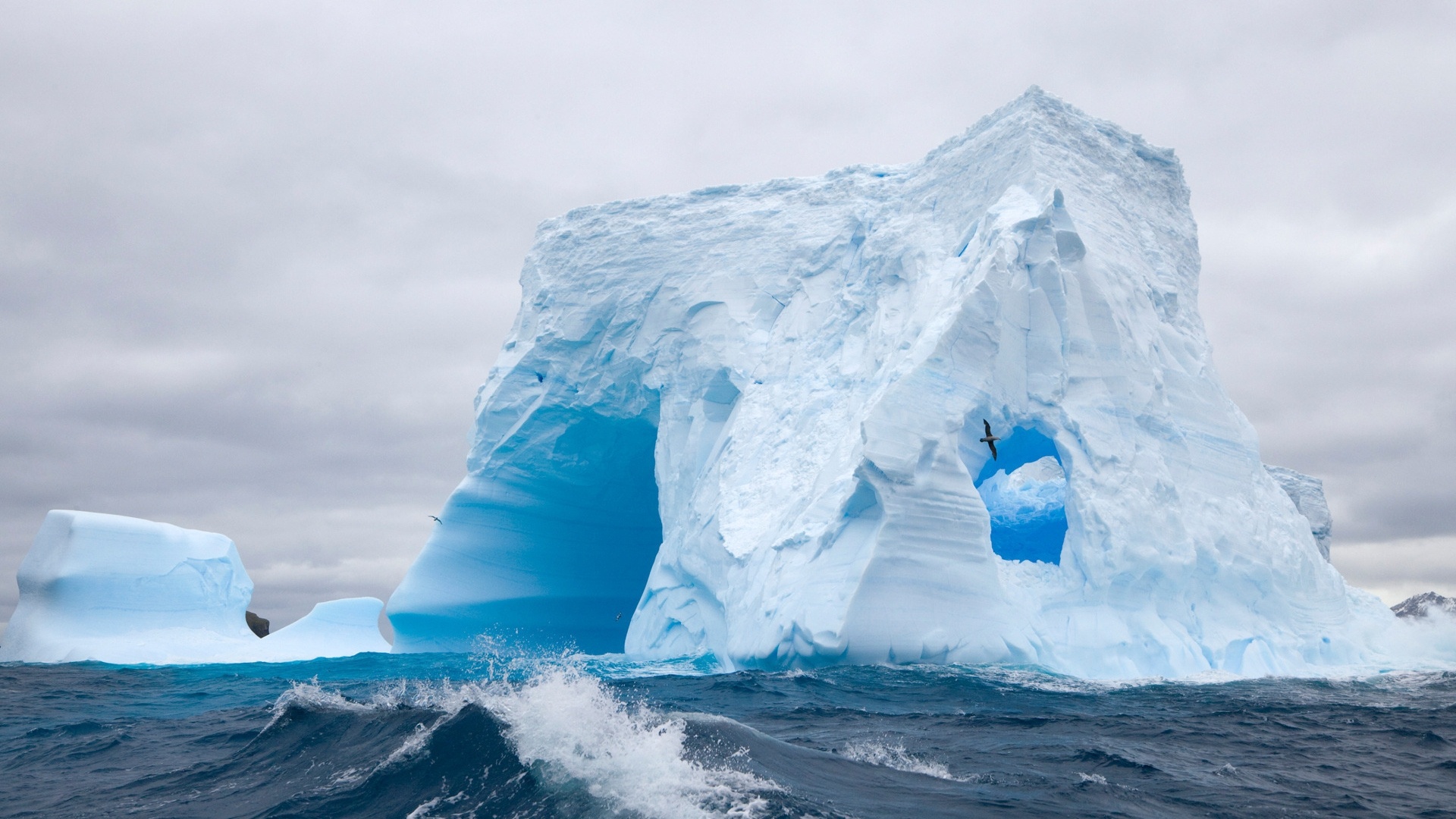 A majestic iceberg with arches and tunnels carved by the ocean, set against a cloudy sky in Antarctica. A seabird soars near the iceberg