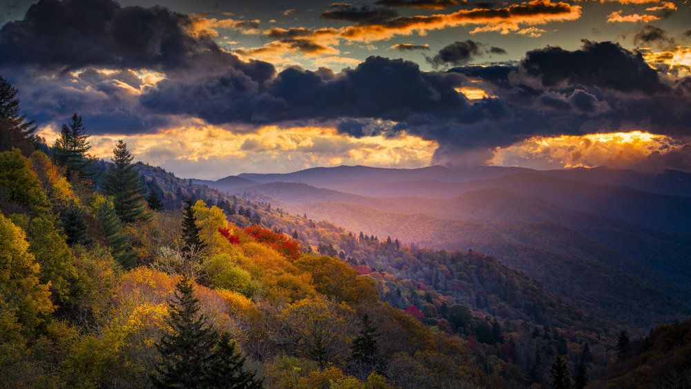 Secrets Of The Smokies Things To Do In Smoky Mountains
