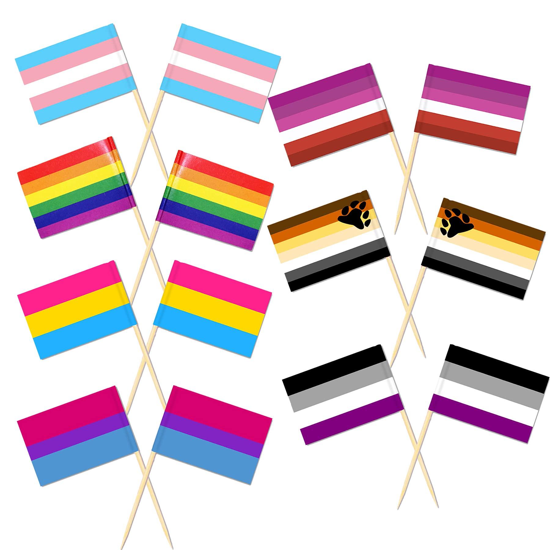 Amazon Pack Lgbt Gay Toothpicks Flags Rainbow