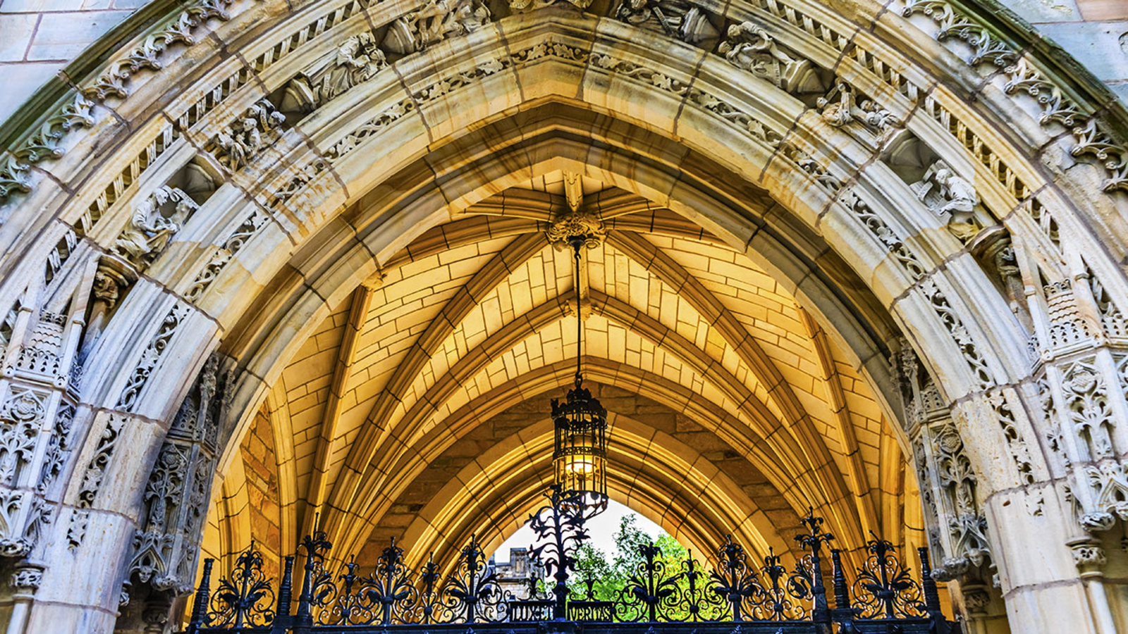 Operation Varsity Blues Yale Rescinds Admission For One Student