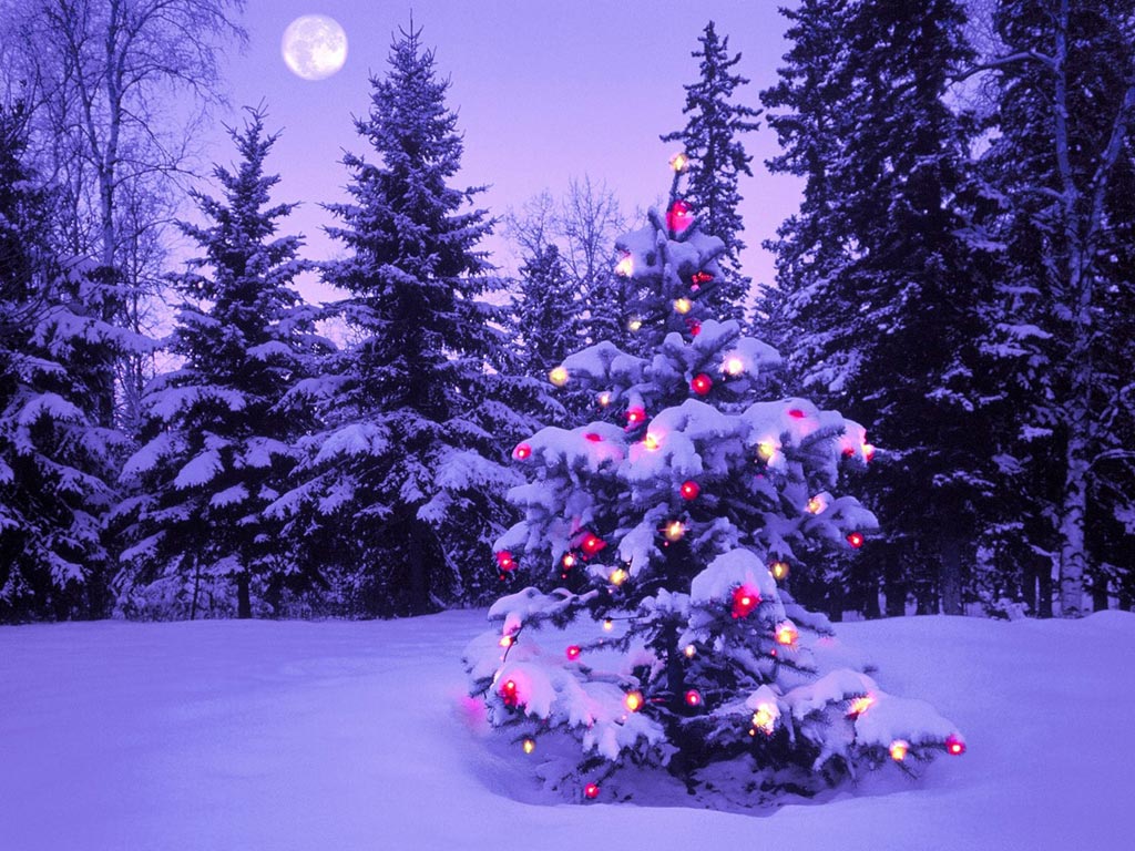 Purple Christmas Tree Background