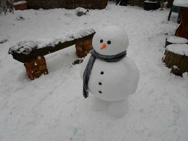 Creative Funny Snowman Pictures For Winter Fun Snappy Pixels