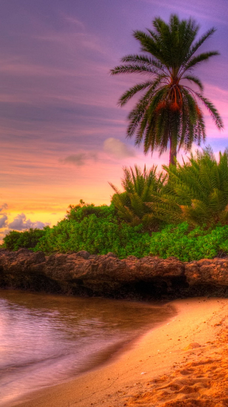Sunset Tropical Island iPhone Wallpaper iPod Wallpaper HD Free